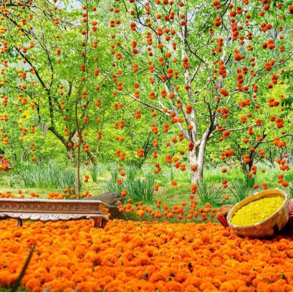 Vatna/ Haldi Backdrop
