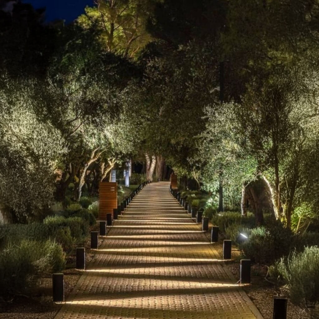 6.-Tree-Highlights-on-Pathway