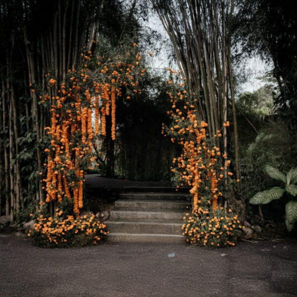 7.-Entry-Installation