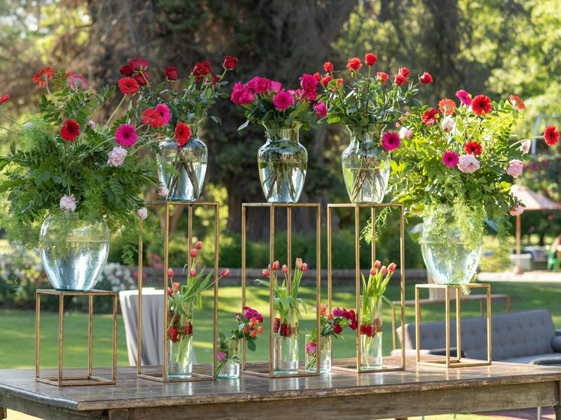 pexels-claudia-ferrer-2001874974-28998260